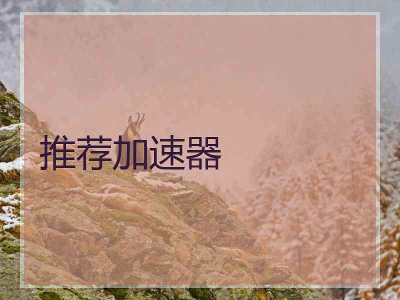 推荐加速器 推荐加速器