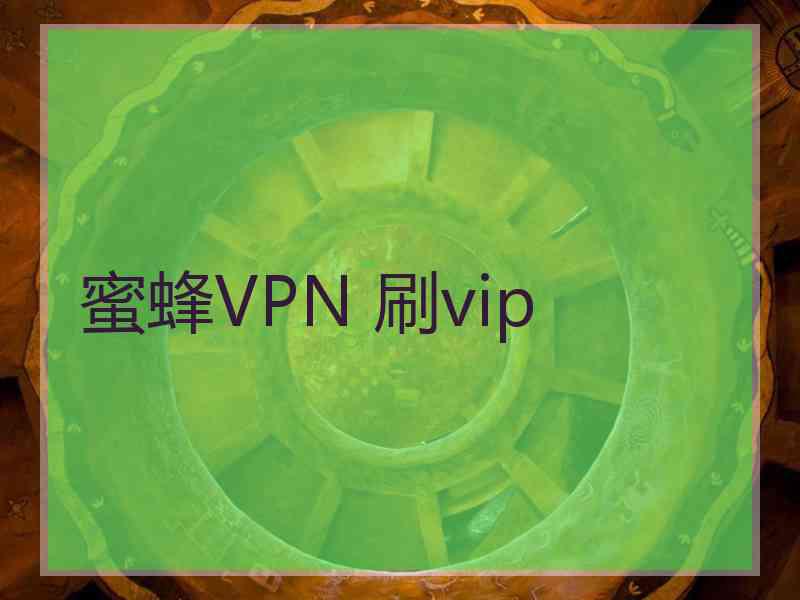 蜜蜂VPN 刷vip