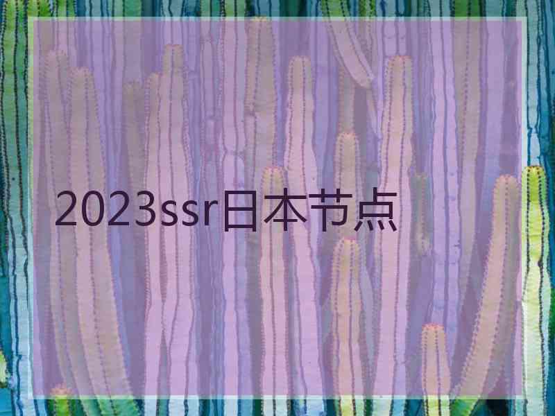 2023ssr日本节点