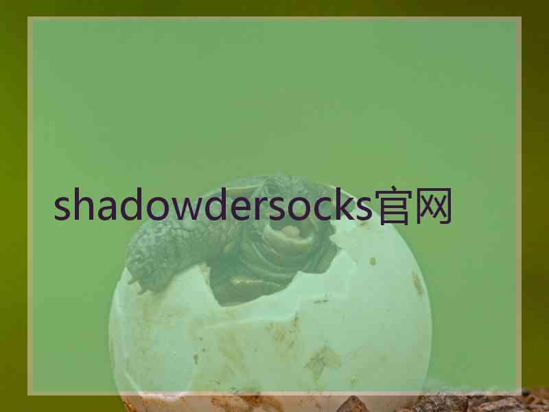 shadowdersocks官网