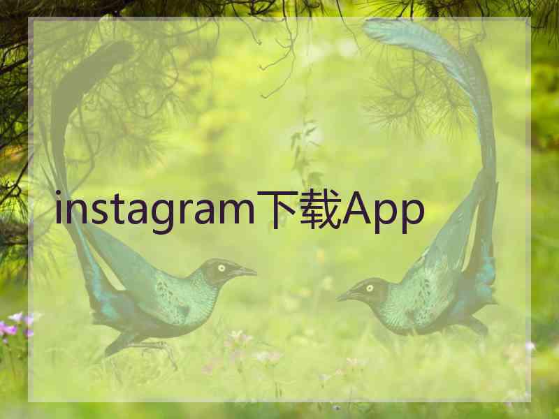 instagram下载App
