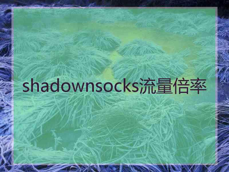 shadownsocks流量倍率