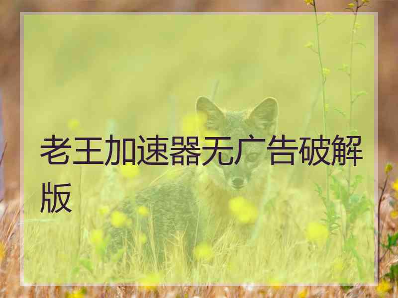 老王加速器无广告破解版 老王加速器无广告破解版