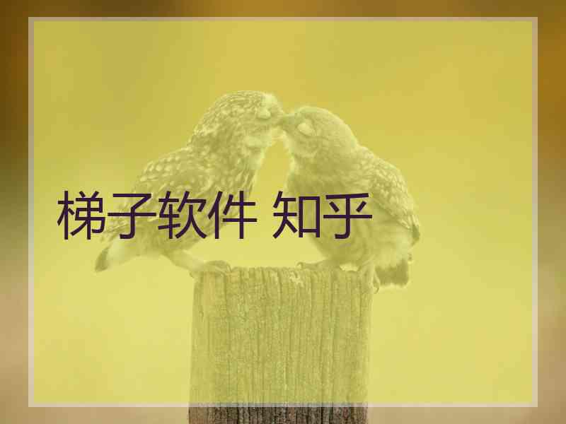 梯子软件 知乎 梯子软件 知乎