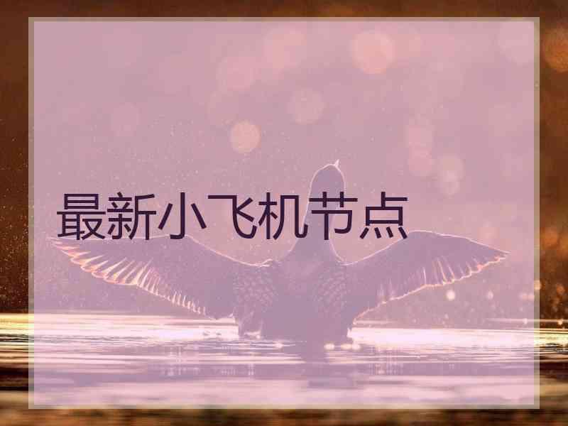 最新小飞机节点 最新小飞机节点