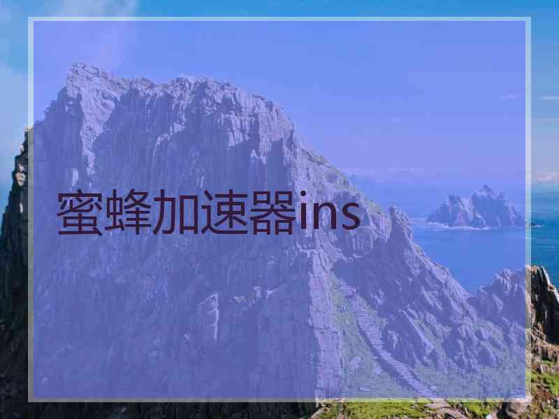 蜜蜂加速器ins 蜜蜂加速器ins