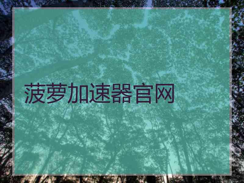 菠萝加速器官网 菠萝加速器官网