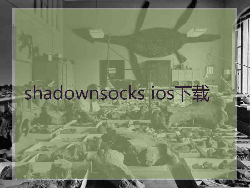 shadownsocks ios下载