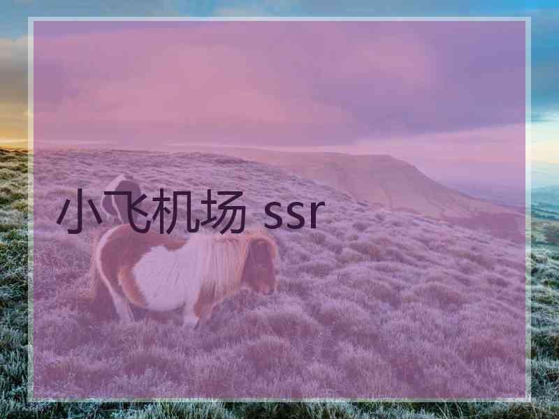 小飞机场 ssr 小飞机场 ssr