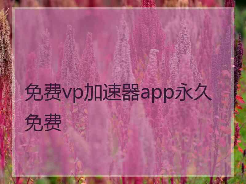 免费vp加速器app永久免费