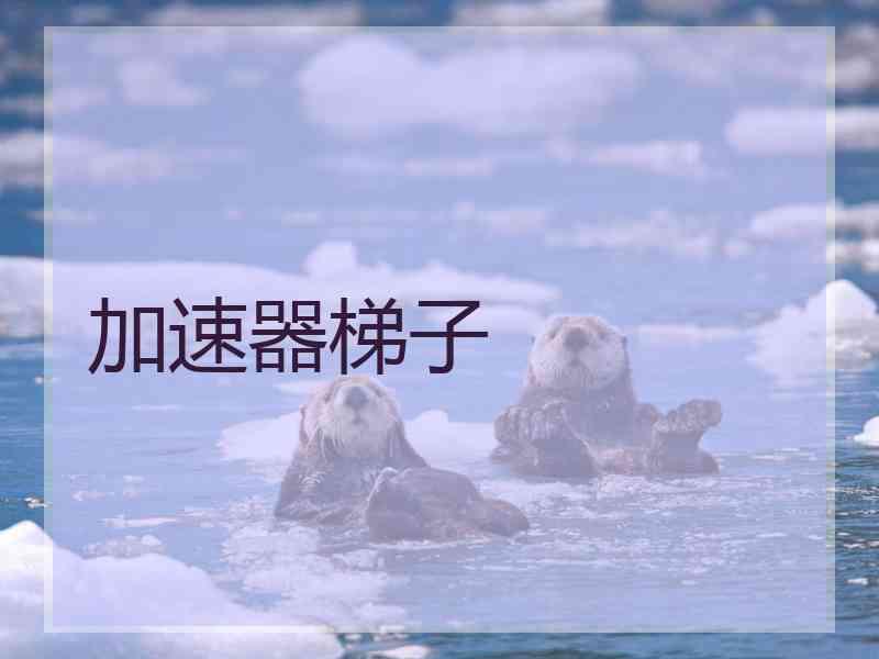 加速器梯子 加速器梯子