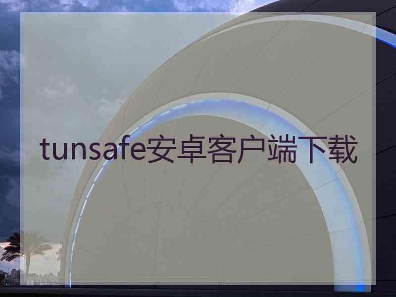 tunsafe安卓客户端下载