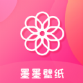 洋葱路由下载