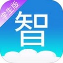 鲸鱼加速器 安卓