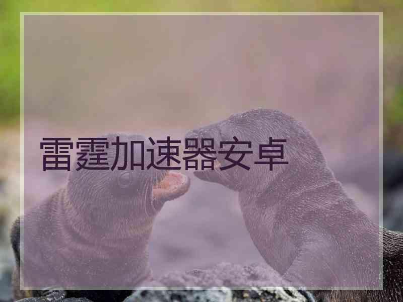 雷霆加速器安卓