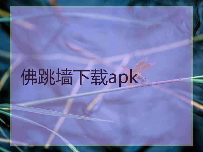 佛跳墙下载apk