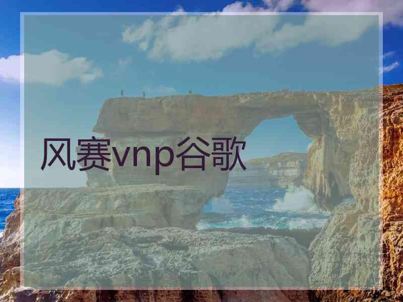 风赛vnp谷歌
