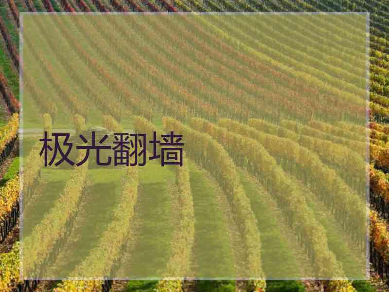 极光翻墙