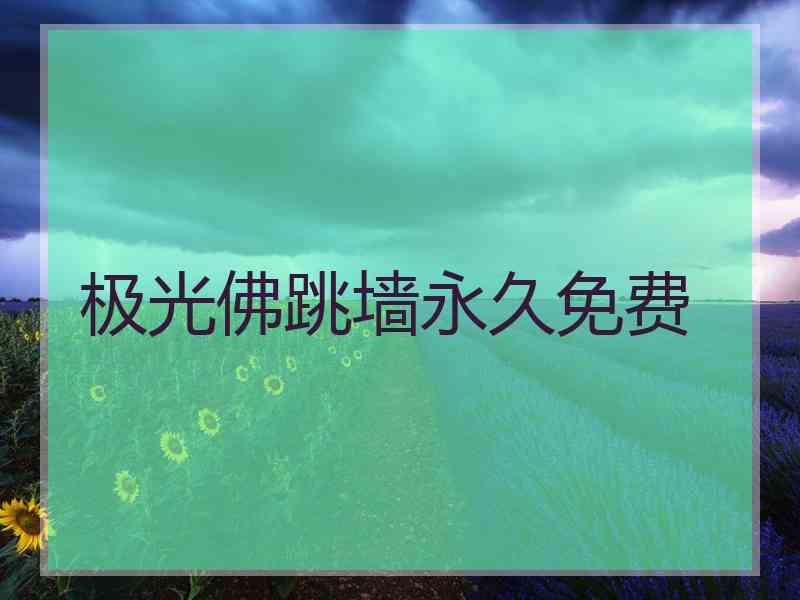 极光佛跳墙永久免费