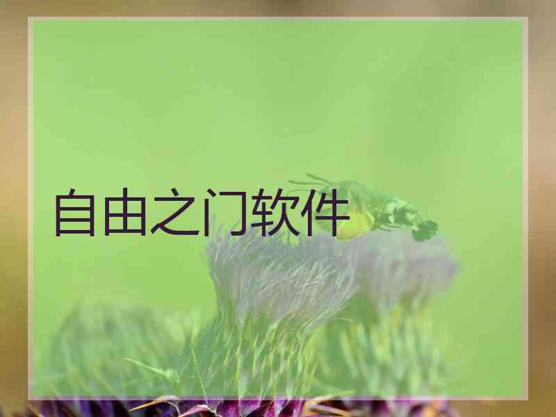 自由之门软件