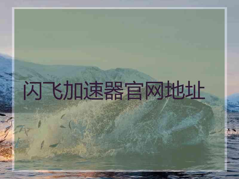 闪飞加速器官网地址