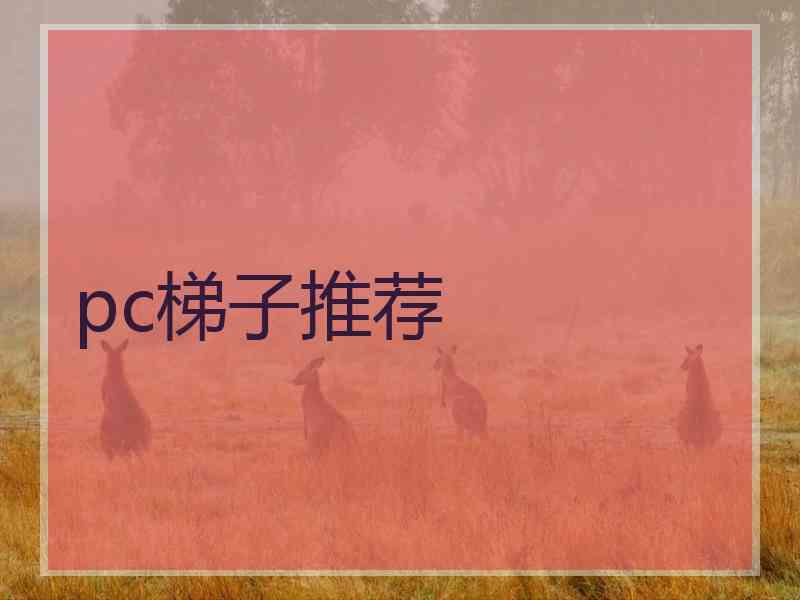 pc梯子推荐