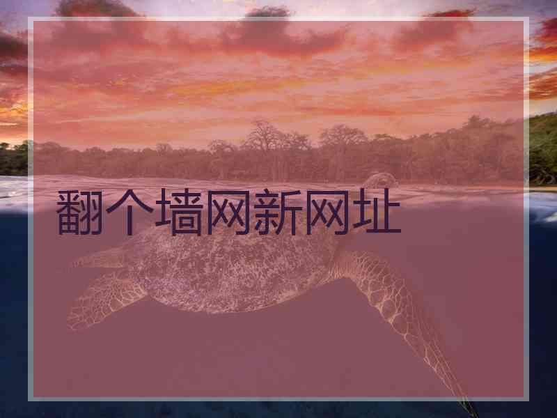 翻个墙网新网址