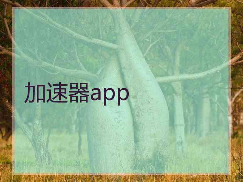 加速器app