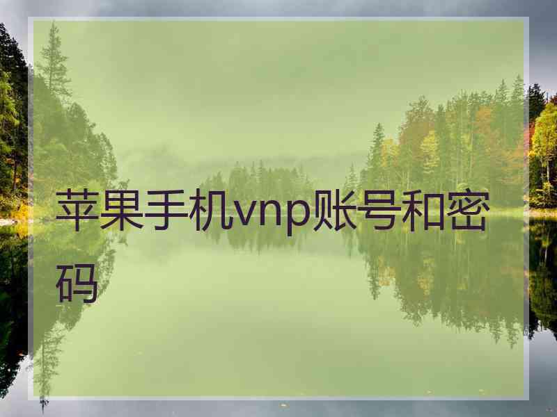 苹果手机vnp账号和密码