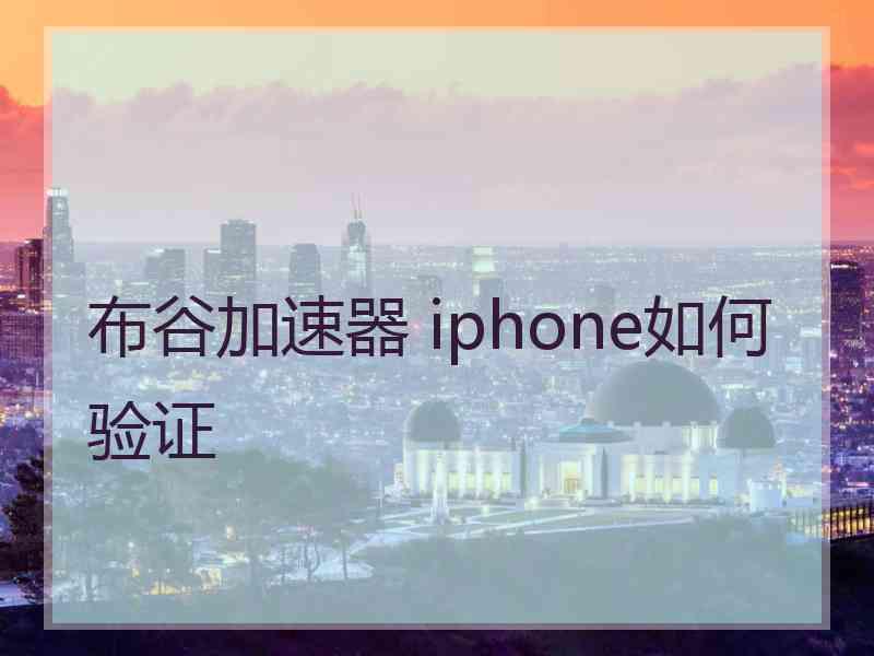 布谷加速器 iphone如何验证