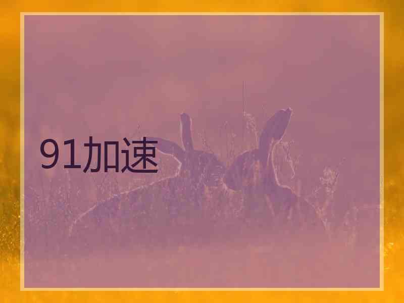 91加速