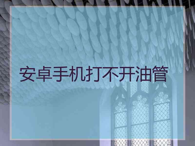 安卓手机打不开油管