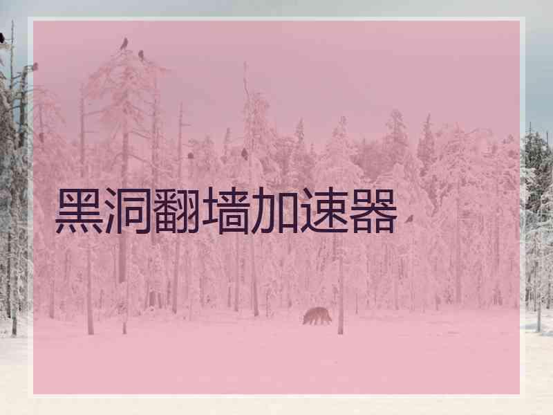 黑洞翻墙加速器