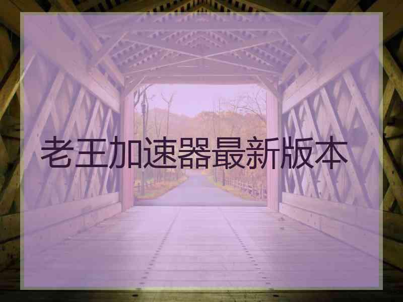 老王加速器最新版本