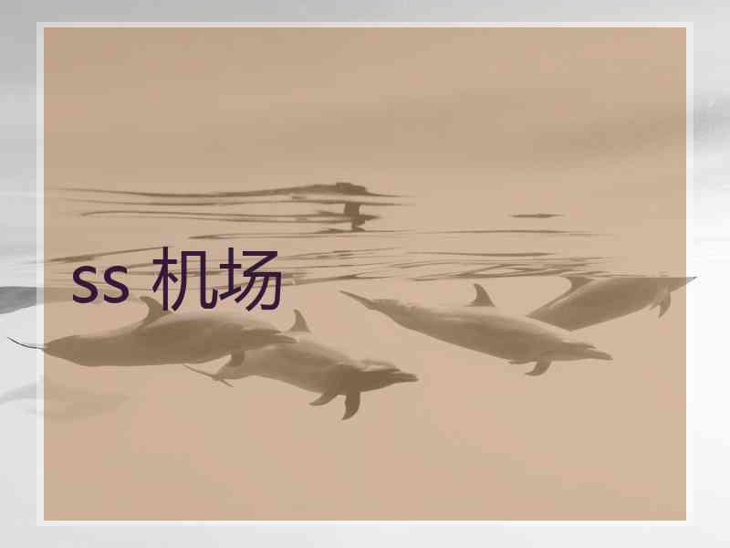 ss 机场