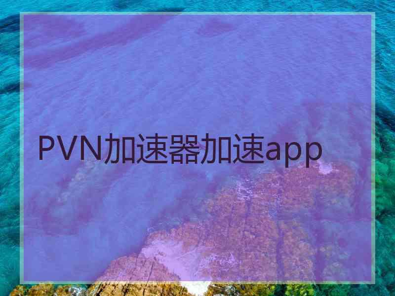 PVN加速器加速app