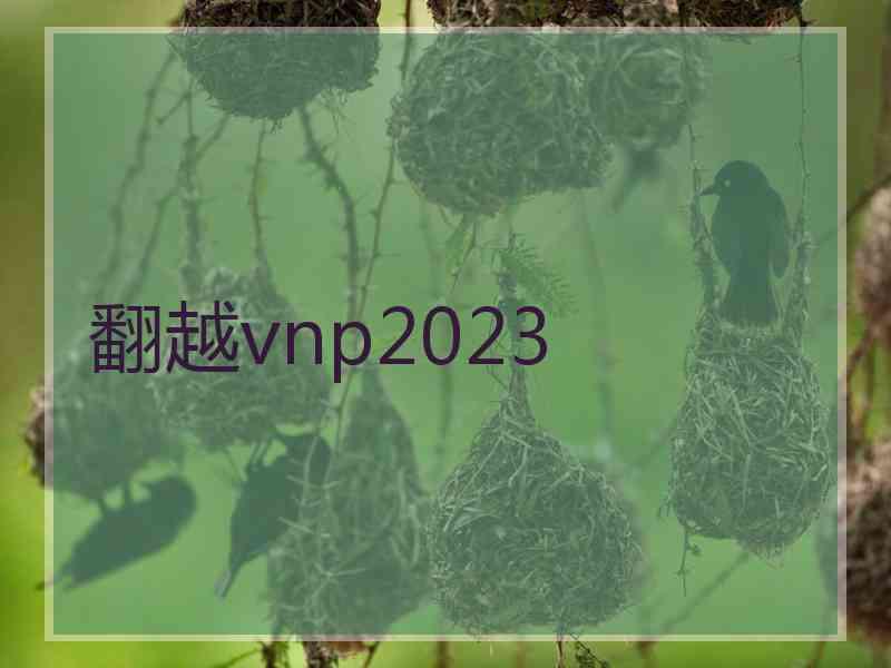翻越vnp2023